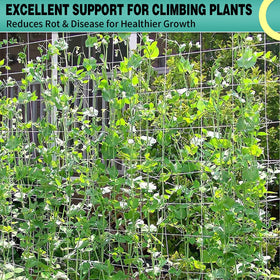 DOLEMODUO trellis supporting climbing plants for better growth.