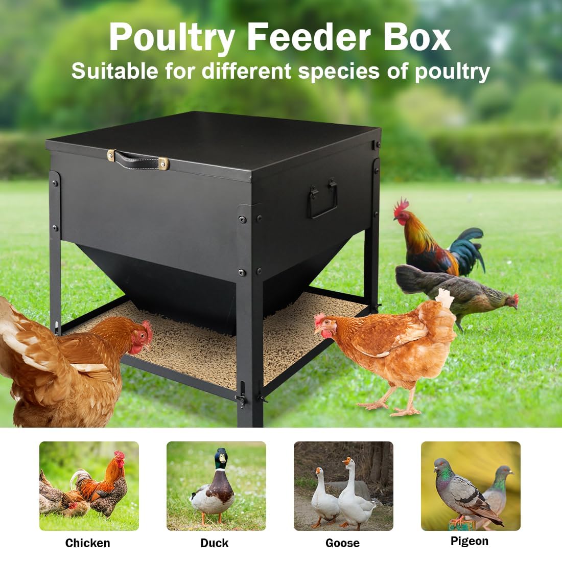 Dolemoduo easy-clean design simplifies maintenance after feeding sessions.