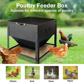 Dolemoduo easy-clean design simplifies maintenance after feeding sessions.