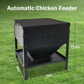 Dolemoduo galvanized steel construction endures weather for outdoor poultry use.