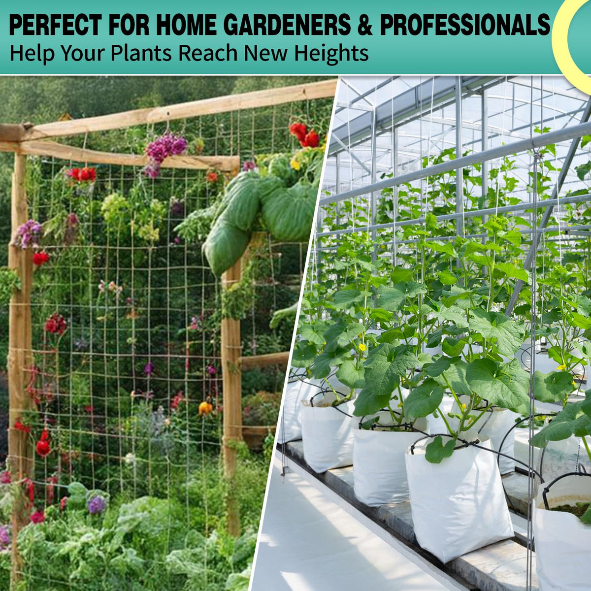 DOLEMODUO trellis in greenhouse use for efficient plant support.