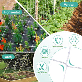 DOLEMODUO trellis with vines ready for harvest and organization.