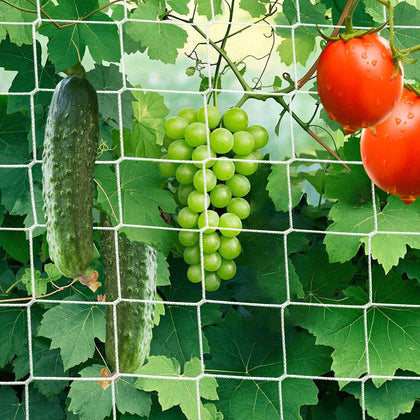 DOLEMODUO nylon trellis netting on a 6x6 grid roll for flexible sizing.