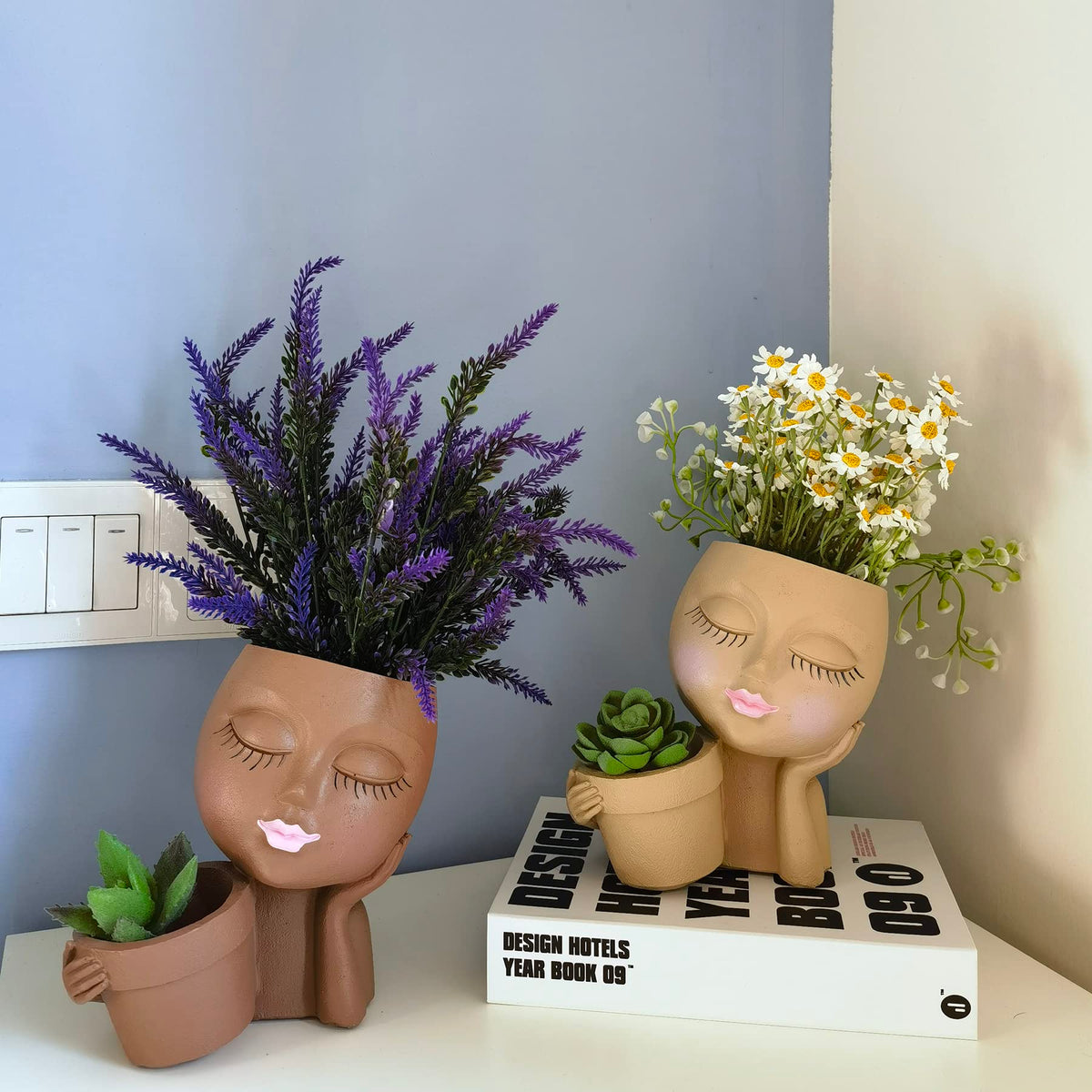 Dolkgy dual-pot face planter ideal for small plants.