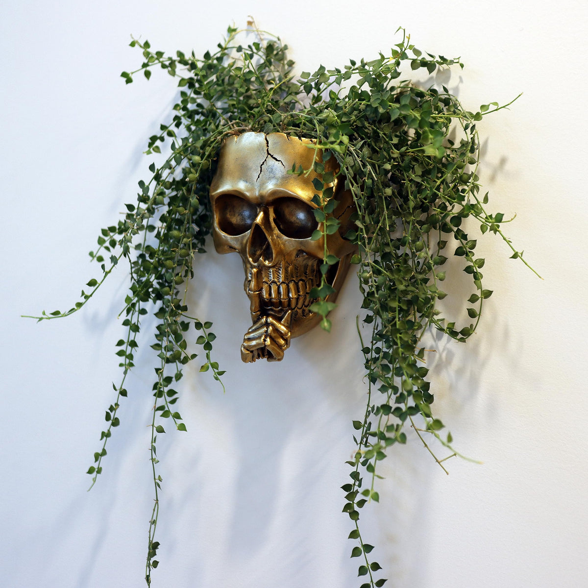 Dolkgy Gold Skull Face Vase highlights decorative flair for plants.