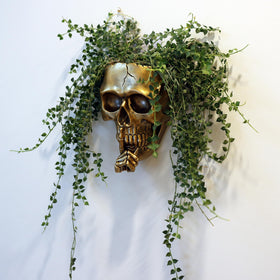 Dolkgy Gold Skull Face Vase highlights decorative flair for plants.