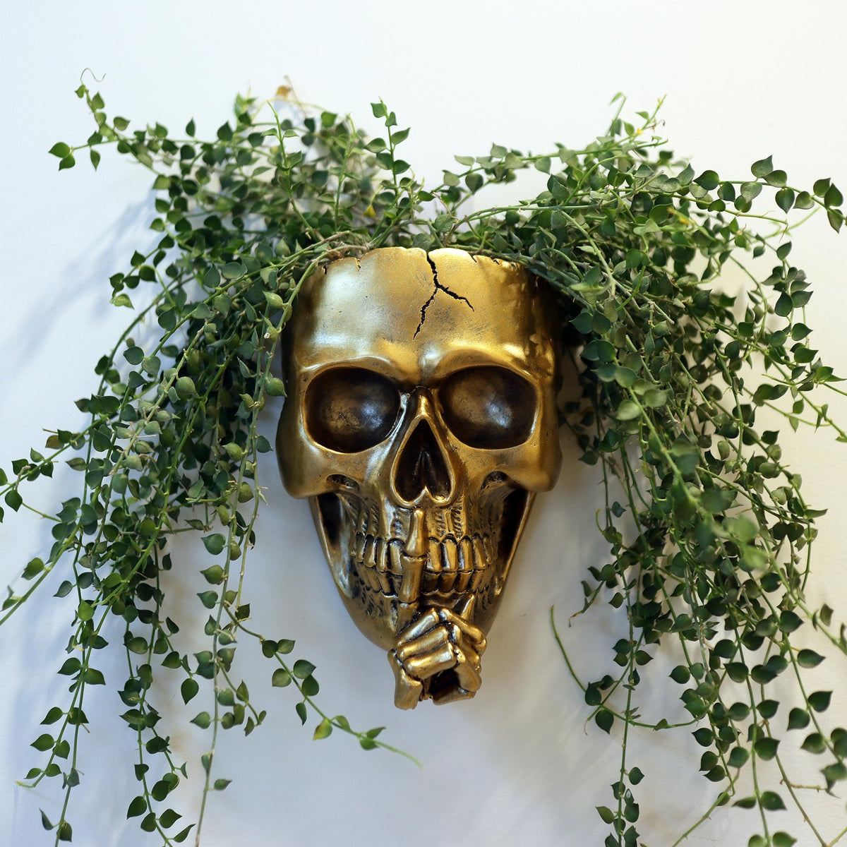 Dolkgy Gothic Skull Planter on wall for indoor or outdoor decor.
