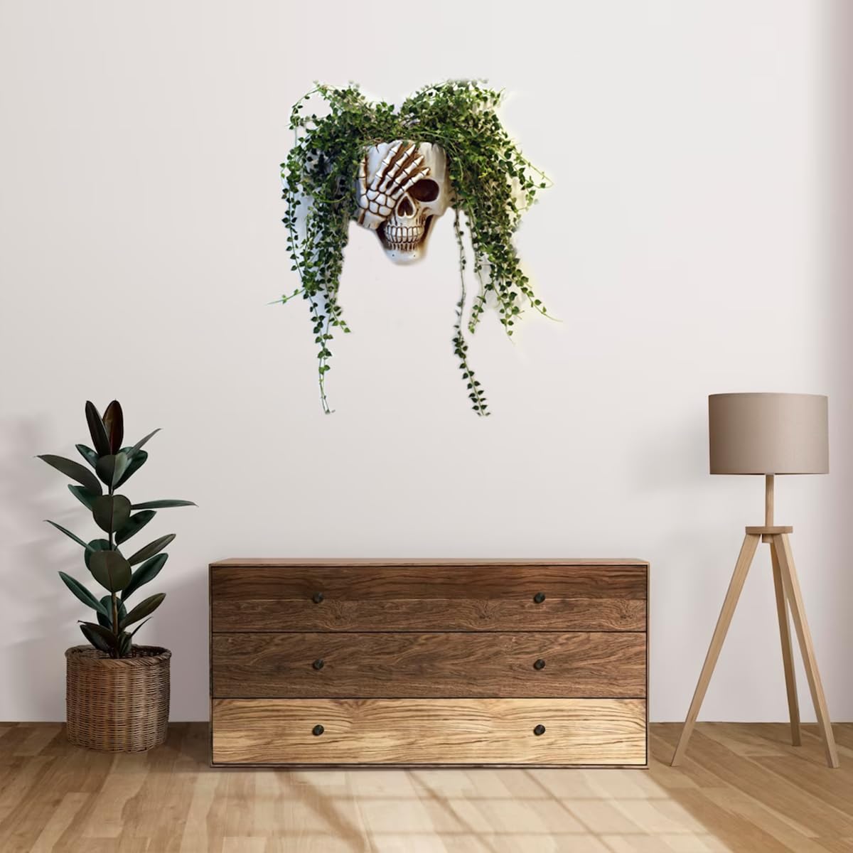 Dolkgy skull wall planter drainage hole supports healthy plant growth.