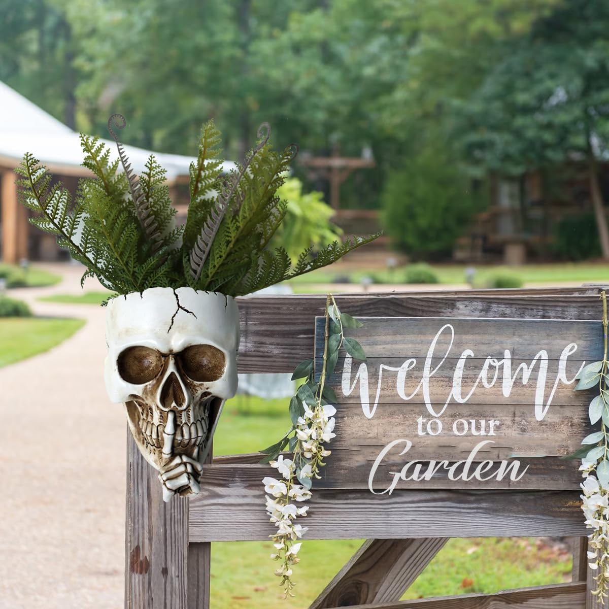 Dolkgy Skull Wall Planter face detail, eye-catching centerpiece