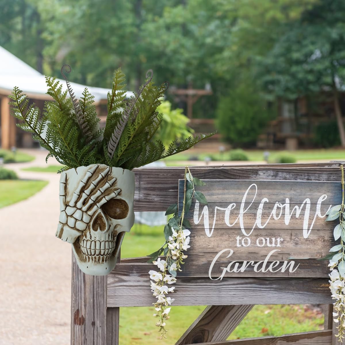 Dolkgy skull wall planter for indoor decor enhances windowsill display.