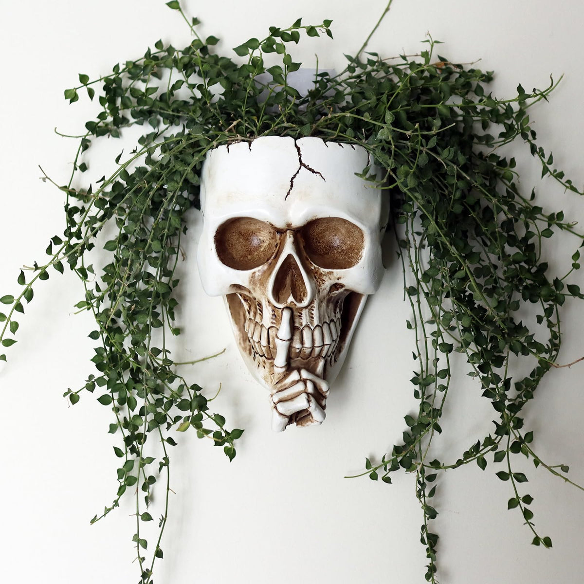 Dolkgy Skull Wall Planter outdoor hanging, weather-ready plant decor piece