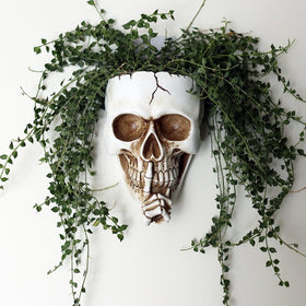 Dolkgy Skull Wall Planter outdoor hanging, weather-ready plant decor piece