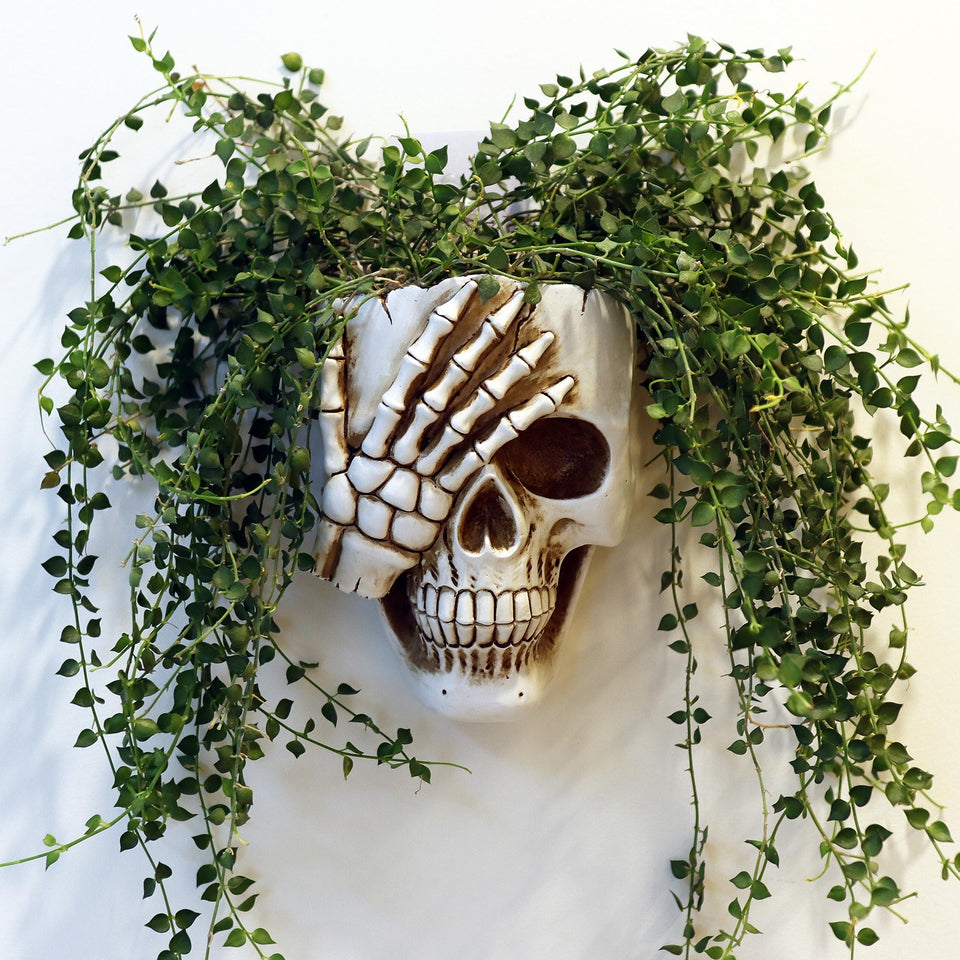 Dolkgy skull wall planter outdoors adds gothic charm to your garden.