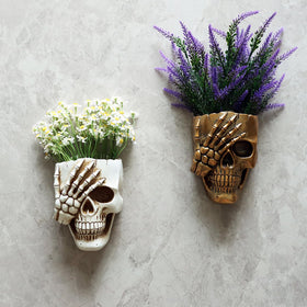Dolkgy white skull face planter adds unique statement to shelves.