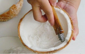 Dolphin Shop coconut grater for fresh meat preparation in bowls