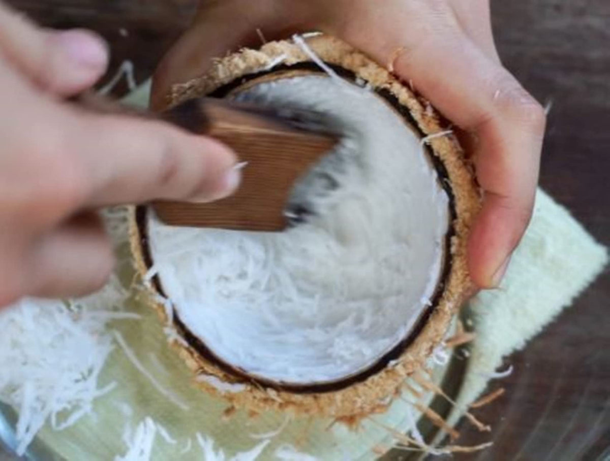 Dolphin Shop coconut grater stored neatly after use
