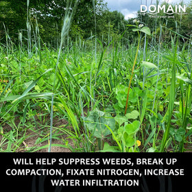Domain Outdoor Overhaul balansa-clover-seed yields diverse, soil-friendly cover