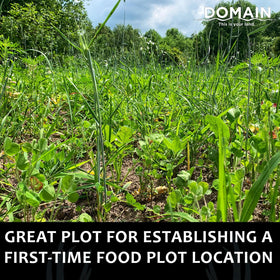 Domain Outdoor Overhaul spring-triticale-plot shows a ready-to-plant scene