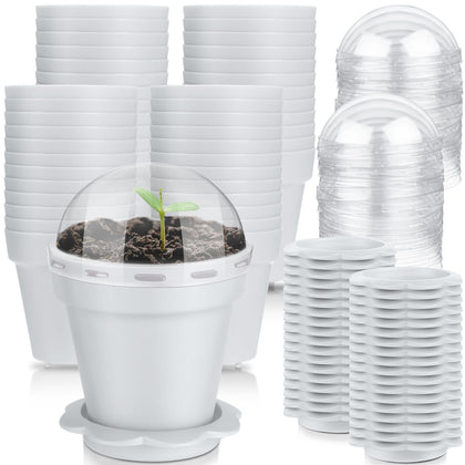 Domensi 80-pcs nursery pots with dome and saucer for seedling propagation