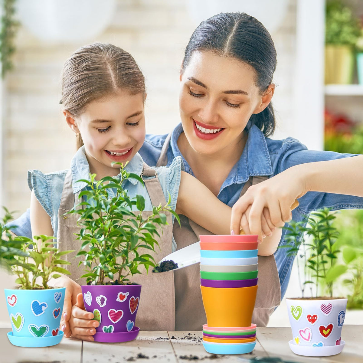 Domensi certificate cards celebrate gardening efforts and achievements.