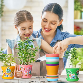 Domensi colorful flower pots ready for decorating and gifting