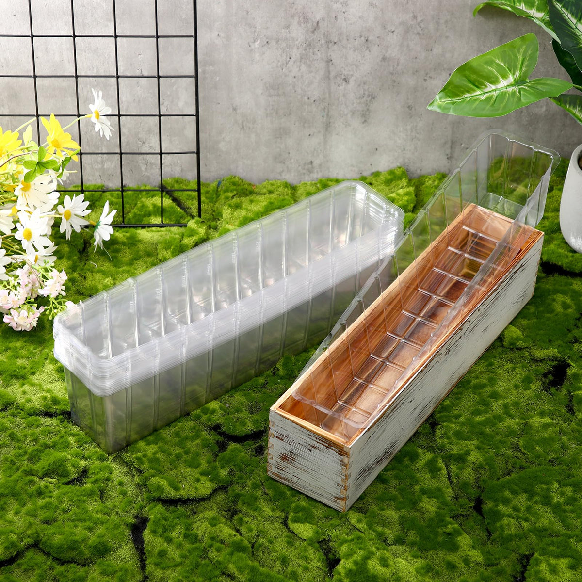Domensi easy-to-use liner supports quick setup for plants.