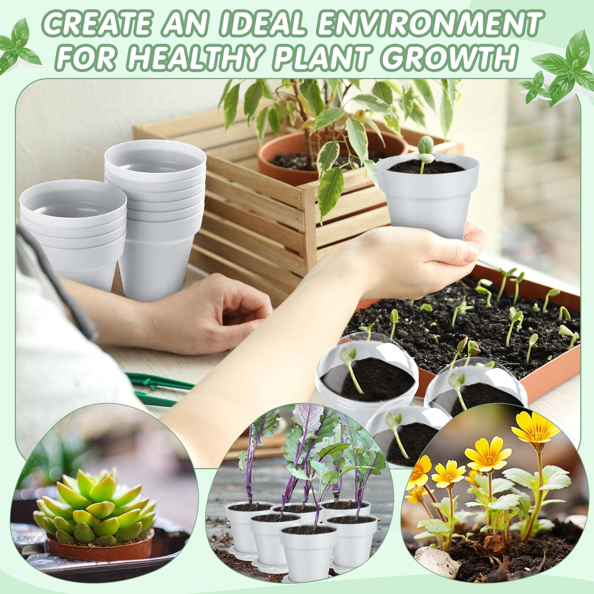 Domensi indoor garden nursery pot collection for flowers, herbs, and succulents