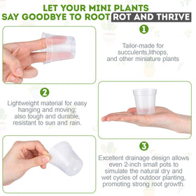 Versatile indoor and outdoor use for vegetables, herbs, and flowers.