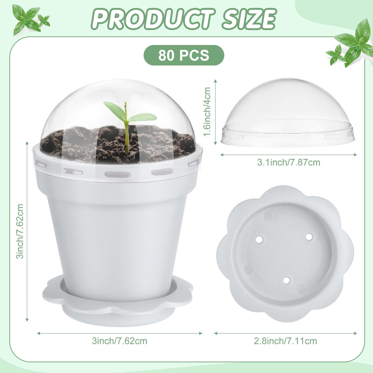 Domensi white plastic nursery pots viewed from top for precise seed spacing
