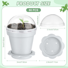 Domensi white plastic nursery pots viewed from top for precise seed spacing