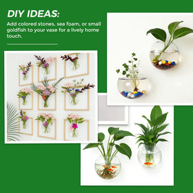 DomeStar clear glass terrarium collection for propagation lovers.