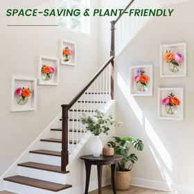 DomeStar DIY-friendly wall vase ready for custom fresh or dried arrangements.