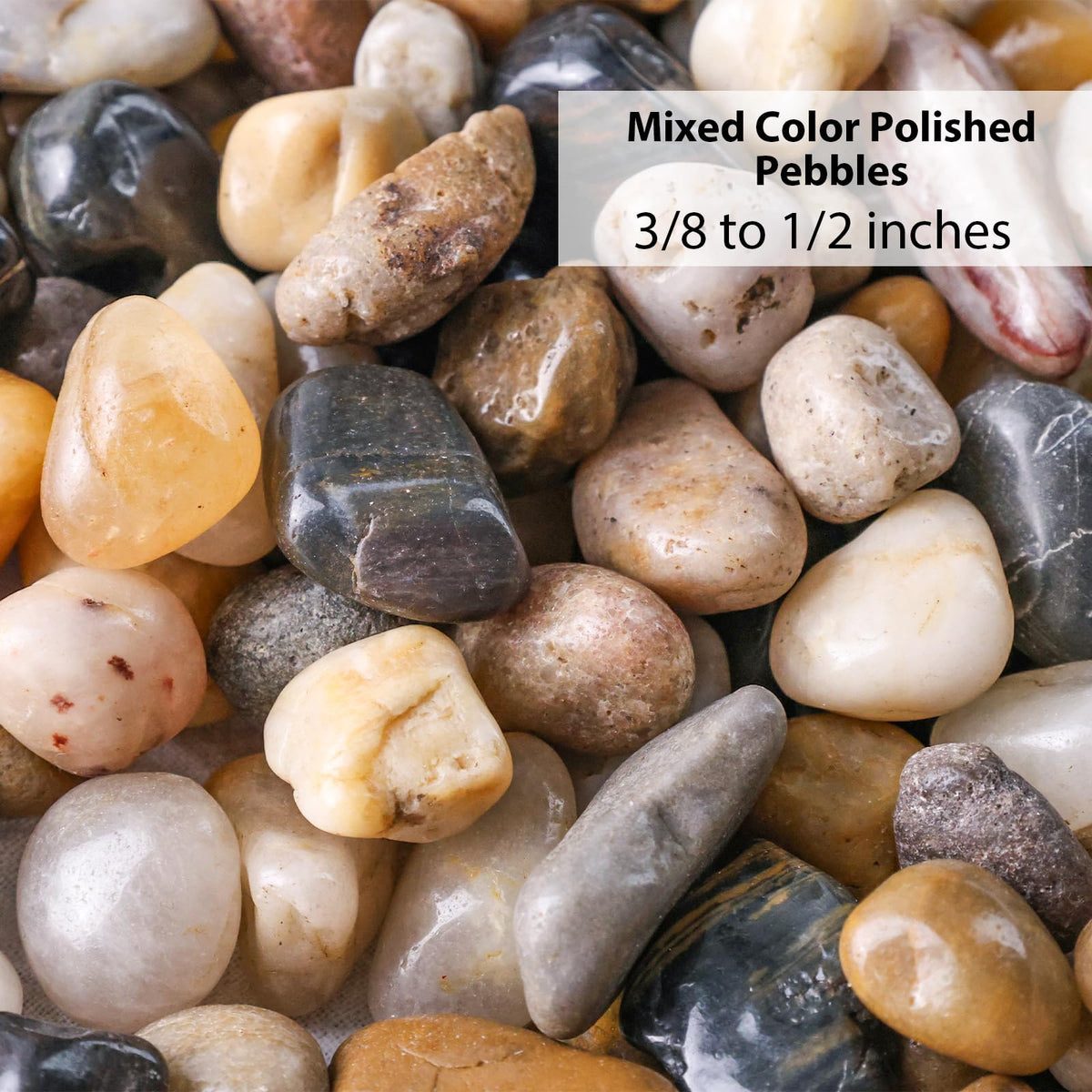 DomeStar polished pebbles as aquarium substrate enhancing tank aesthetics