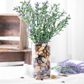 DomeStar river rocks add texture to succulent displays and vases
