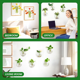 DomeStar space-saving wall garden with multiple vases for creative plant displays.