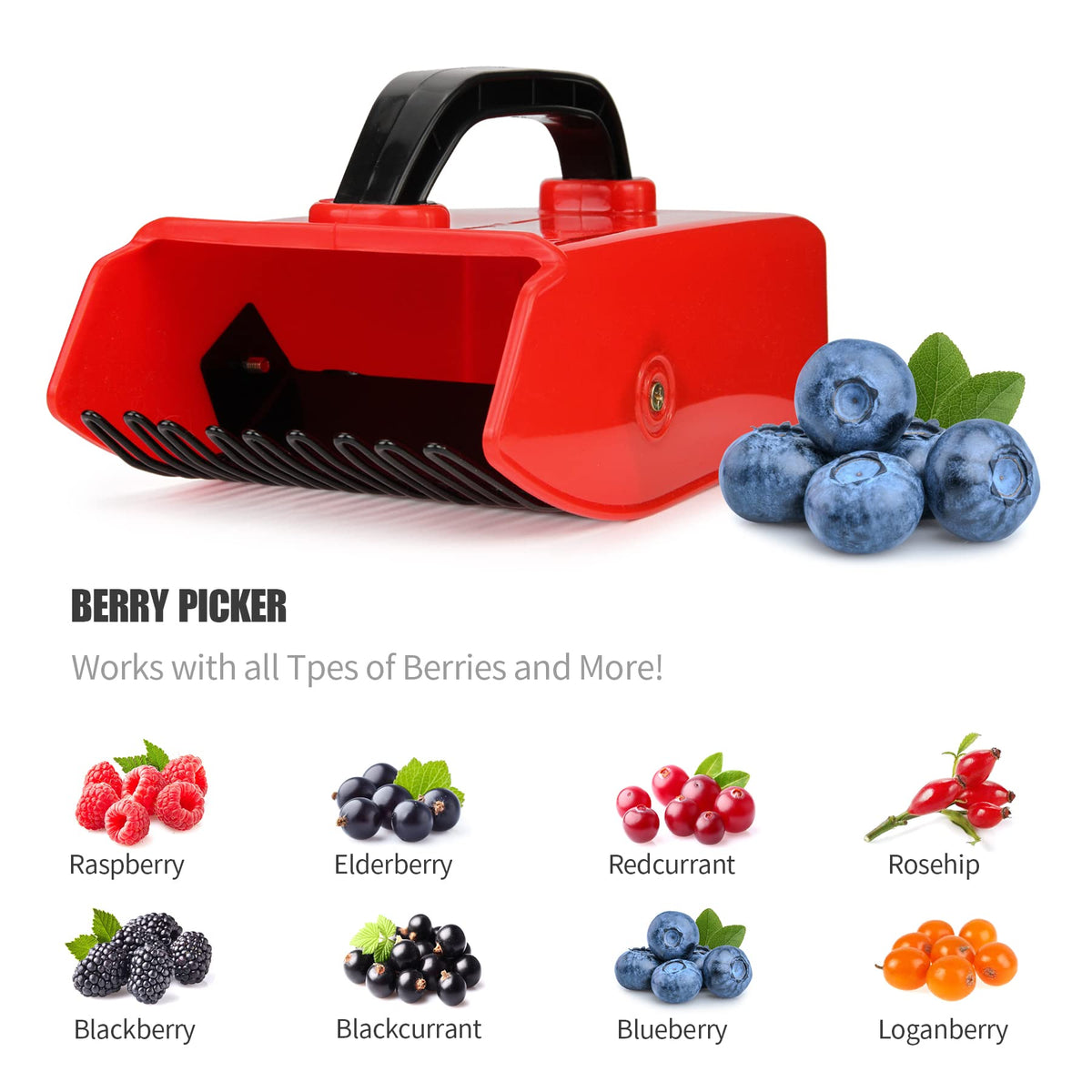 Domiella blueberry picker with raised edge design preventing berry loss.