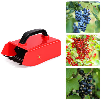 Domiella blueberry picker with metallic comb and handle showing ergonomic grip for easy harvesting.