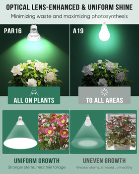 DOMMIA full spectrum LEDs cover blue and red channels for plant growth.