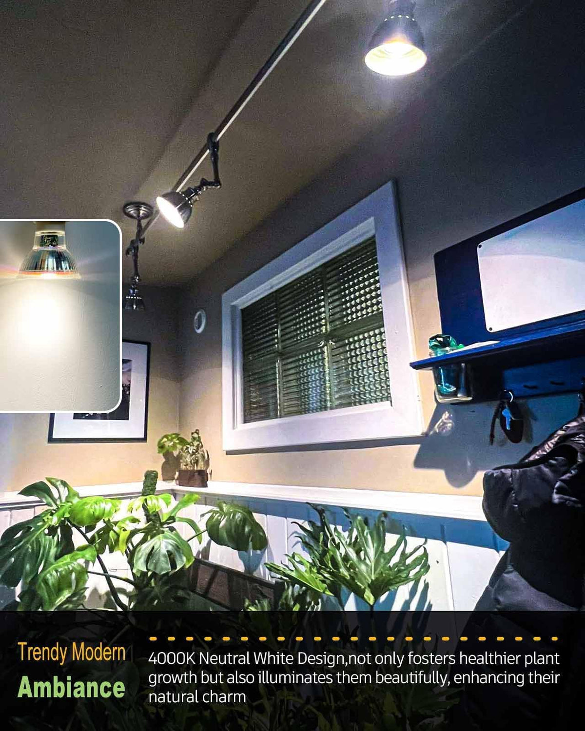 DOMMIA 4000K neutral white with CRI 95 for accurate color rendering.