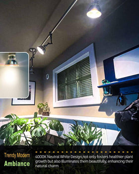 DOMMIA 4000K neutral white with CRI 95 for accurate color rendering.