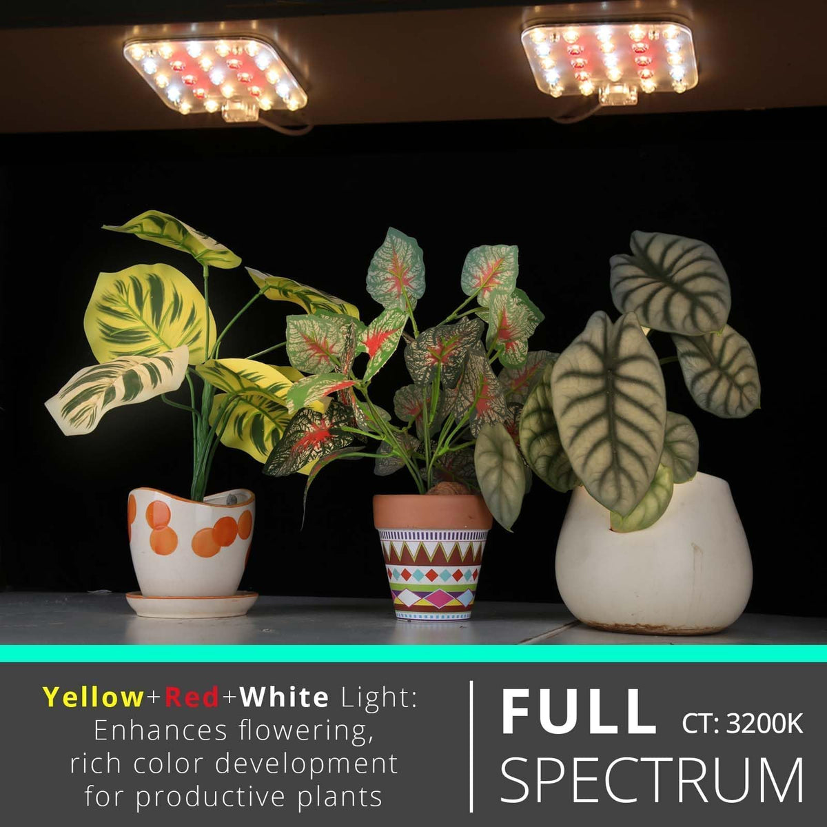 DOMMIA grow light with optical lens delivers focused coverage to leaves.
