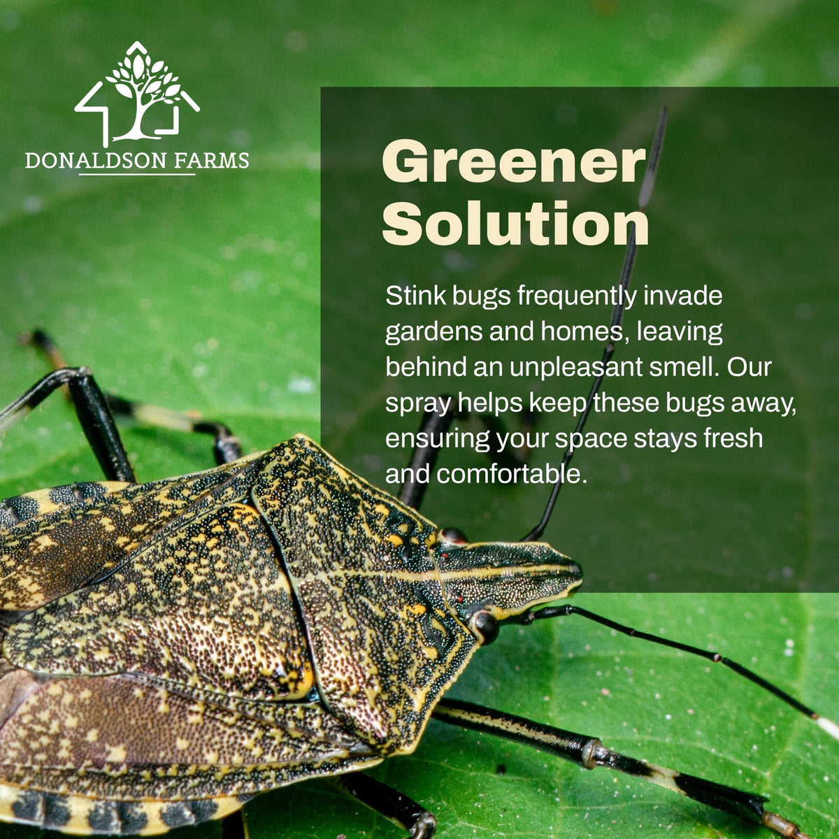 Donaldson Farms Stink Bug Spray applies directly to pests or surfaces.