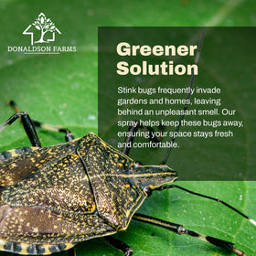 Donaldson Farms Stink Bug Spray applies directly to pests or surfaces.