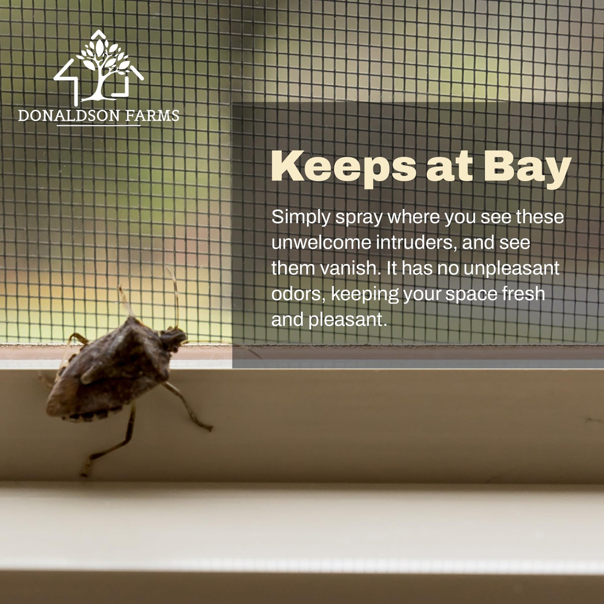 Donaldson Farms Stink Bug Spray budget-friendly protection in a 16 oz bottle.