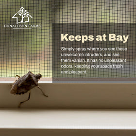 Donaldson Farms Stink Bug Spray budget-friendly protection in a 16 oz bottle.