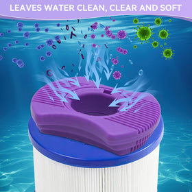 DONJOP Dimension One filter purple twin pack keeps spa water balanced.