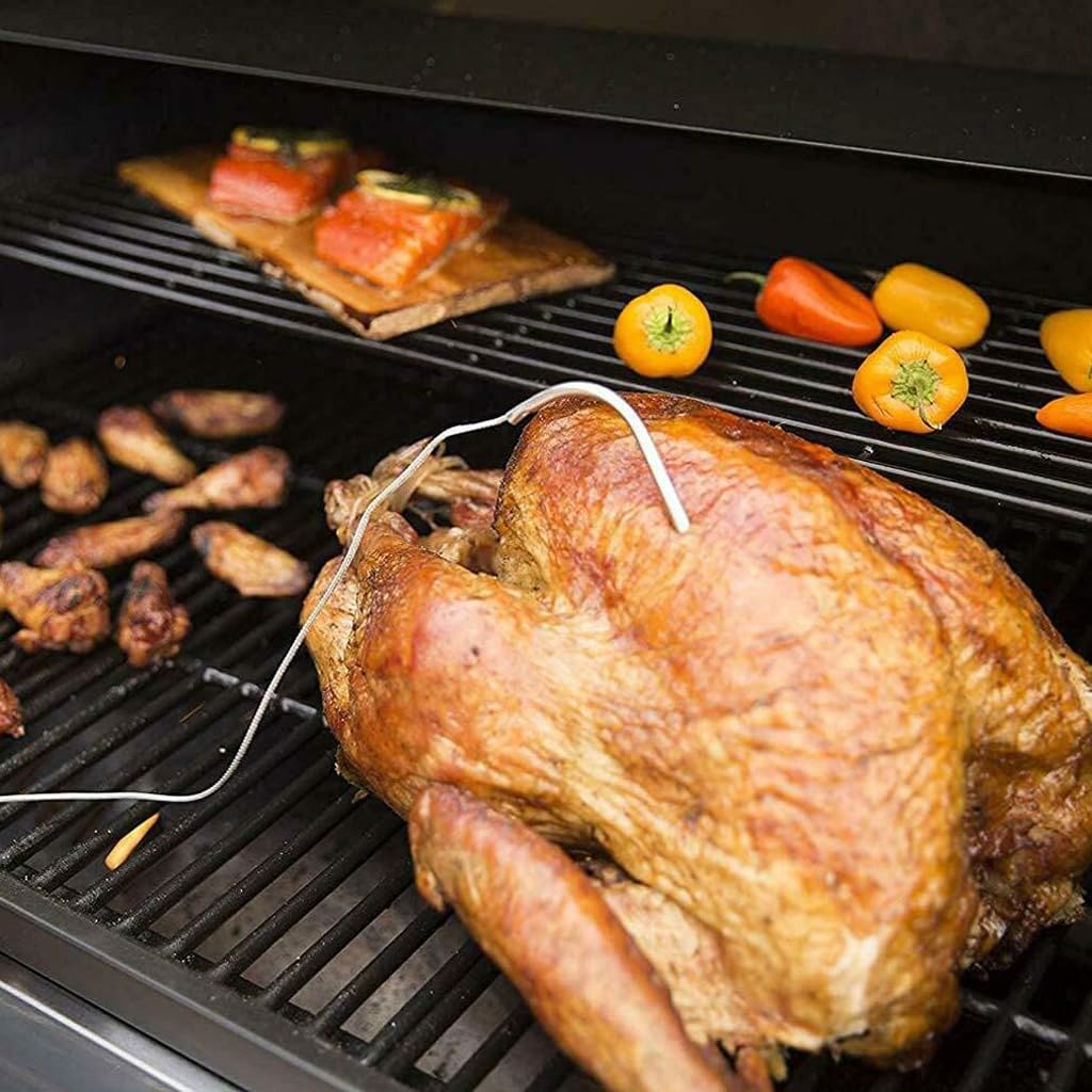 Donsiqizz waterproof probes built for reliable outdoor grilling.