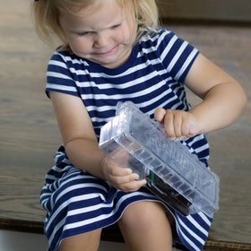 DoomBox green enclosed mouse trap Click-It closure for safe handling