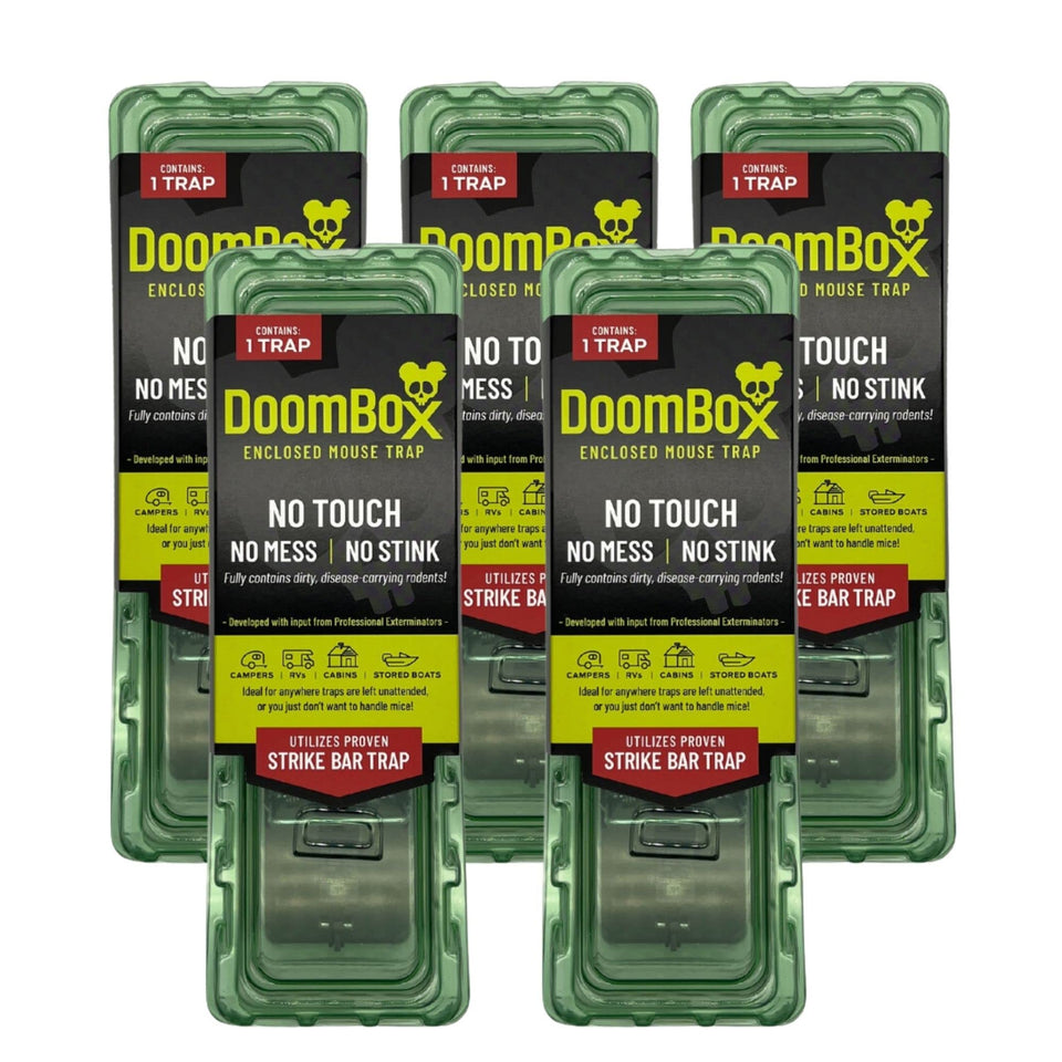 DoomBox green enclosed mouse trap in packaging showing safe, multi-pack design