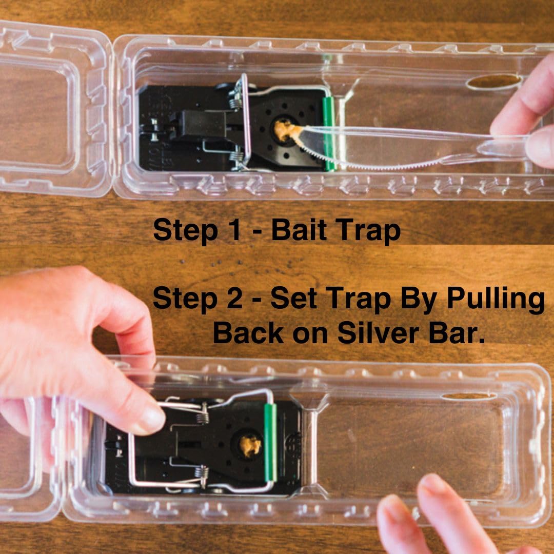 DoomBox green enclosed mouse trap see-it-all design for monitoring
